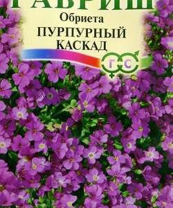 Обриета Пурпурный каскад* 0,05 г Н9 сер. Альпийская горка
