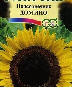 Подсолнечник Домино 0,5 г Н9