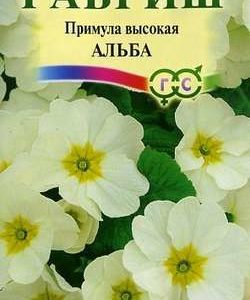 Примула Альба высокая* 0,05 г Н9