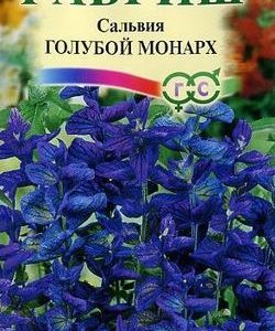 Сальвия Голубой монарх* 0,05 г Н9