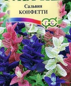 Сальвия Конфетти* 0,05 г Н9