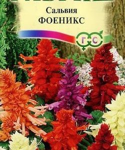 Сальвия Феникс, смесь* 0,05 г Н9