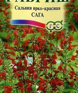 Сальвия Сага ярко-красная * 0,05 г Н9