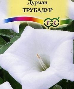 Дурман Трубадур 0,5 г