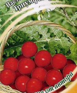 Паслён гулявниколистный Триумфатор 0,5 г автор.