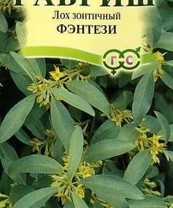 Лох зонтичный Фэнтези* 0,05 г Н9