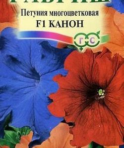 Петуния Канон F1 10 шт гранул. пробирка