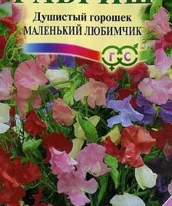 Душистый горошек Маленький любимчик 0,5 г серия Сад ароматов Н9