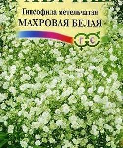 Гипсофила метельч. Махровая белая* 0,1 г