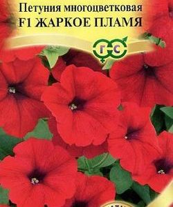 Петуния Жаркое пламя F1 многоцв. 10 шт гранул. пробирка Н9