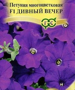 Петуния Дивный вечер F1 многоцв. 10 шт гранул. пробирка Н9