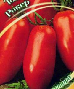 Томат Рокер 0,1 г автор.