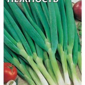 Лук батун Нежность 1,0 г