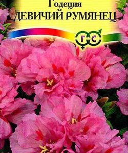 Годеция Девичий румянец , махровая* 0,1 г