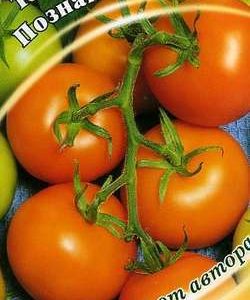 Томат Познань 0,1 г автор. Н9