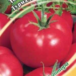 Томат Турмалин 0,3 г автор. Н10