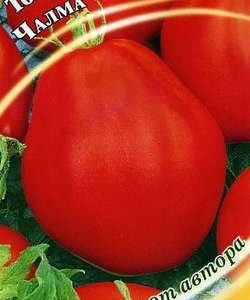 Томат Чалма 0,1 г автор. Н9
