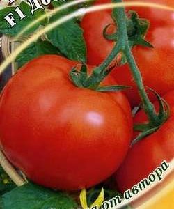 Томат Добрунь 12 шт. автор. Н9