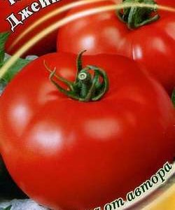 Томат Джейн 0,3 г автор. Н9