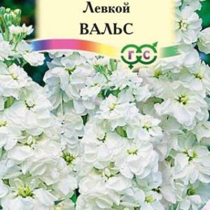 Левкой Вальс* 0,1 г серия Сад ароматов