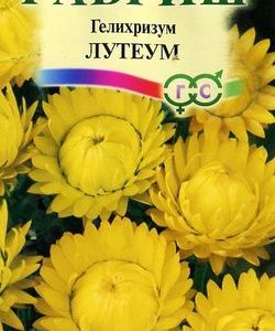 Гелихризум Лутеум* 0,2 г Н9