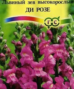 Львиный зев Ди розе* 0,1 г Н9