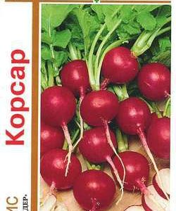 Редис Корсар серия 1+1/5,0 г автор.