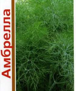 Укроп Амбрелла серия 1+1/4,0 г автор