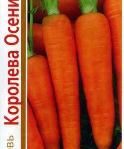 Морковь Королева Осени серия 1+1/4,0 г