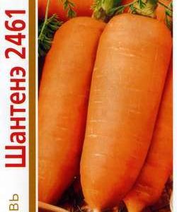 Морковь Шантенэ 2461 серия 1+1/4,0 г