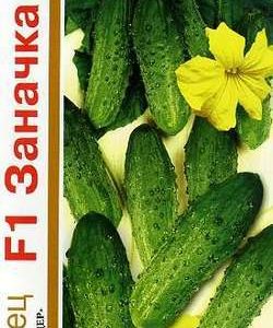 Огурец Заначка F1 20 шт. серия 1+1 автор.