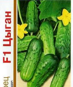 Огурец Цыган F1 серия 1+1/20 шт. автор.