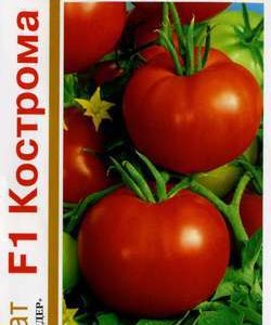 Томат Кострома F1 24 шт. серия 1+1 автор.