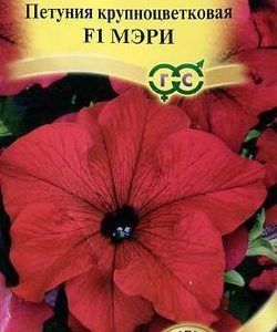 Петуния Мэри F1 крупноцв. 10 шт. гранул. пробирка