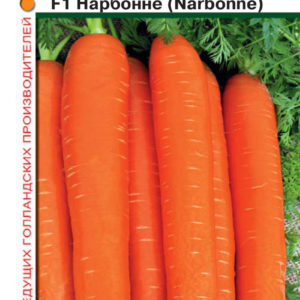 Морковь Нарбонне F1 0,3 г(Голландия)Н9