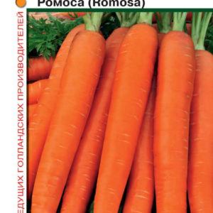 Морковь Ромоса 0,5 г (Голландия) Н9