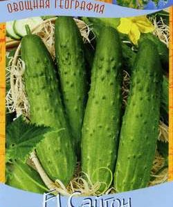 Огурец Сайгон F1 10 шт серия География Н9