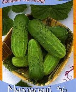 Огурец Муромский 36 0,5 г сер. География Н9