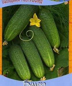 Огурец Бумер F1 10 шт корнишон серия География Н9