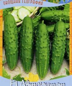 Огурец Авторитет F1 10 шт серия География Н9