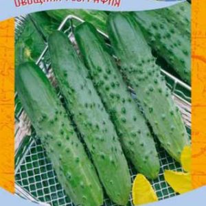 Огурец Бакс F1 0,5 г серия География Н9