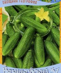 Огурец Вязниковский 37 0,5 г серия География Н9