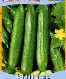 Огурец Шираз F1 10 шт. серия География Н9