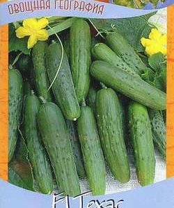 Огурец Техас F1 10 шт. серия География Н9