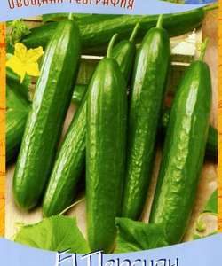 Огурец Персиян F1 10 шт. серия География Н9