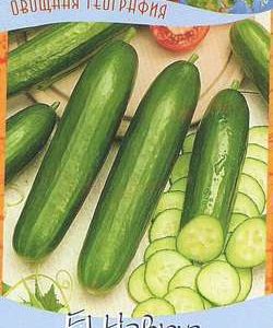 Огурец Навруз F1 10 шт. серия География Н9