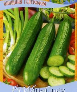 Огурец Ибн Сина F1 10 шт. серия География Н9