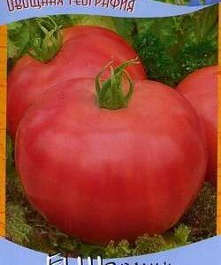 Томат Шаолинь F1 12 шт. серия География Н9