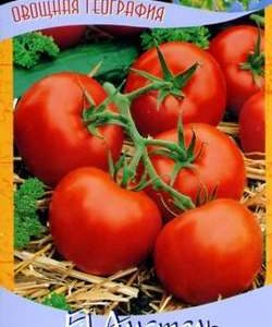 Томат Амстель F1 12 шт. серия География Н9
