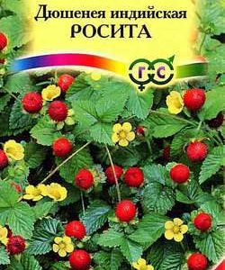 Дюшенея индийская Росита* 20 шт